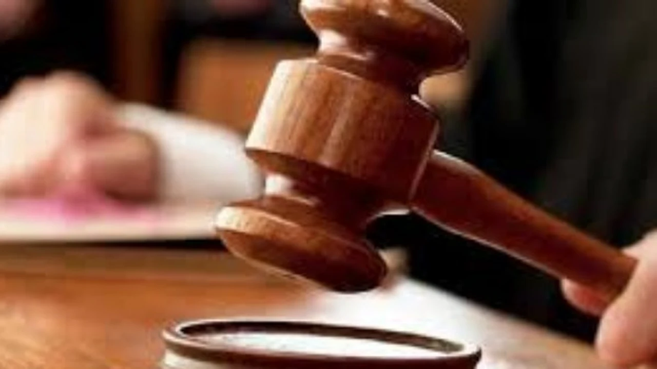 حبس سيدتين بتهمة سرقة هاتف محمول من سيدة في الإسكندرية